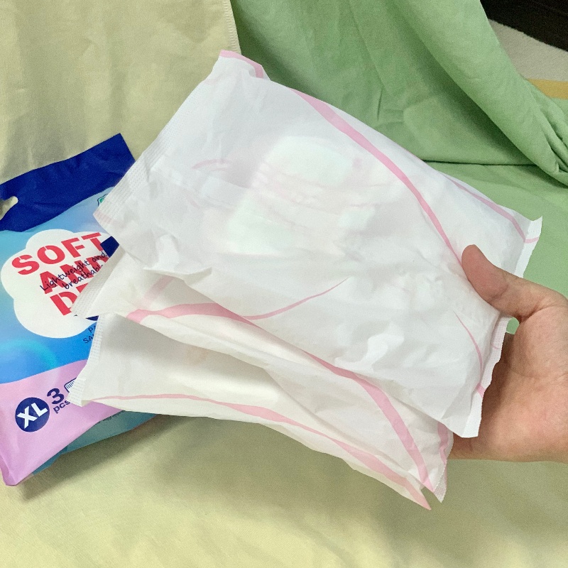 Nafei's Sanitary Pad Manufacturing Business Plan:Expanding into Southeast Asia