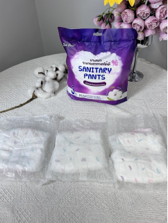 Upgraded sanitary napkins --- Lanku menstrual pants