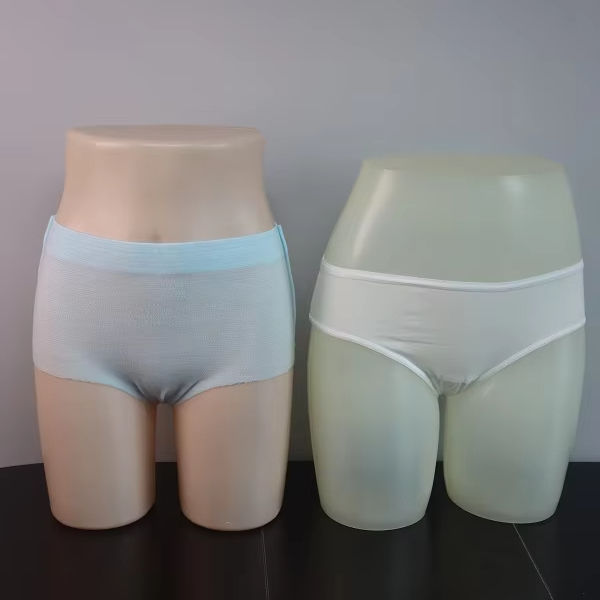 Customized Size Disposable Underwear for Ladies