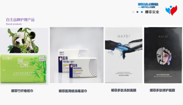 Product series presented during the company visit — 11