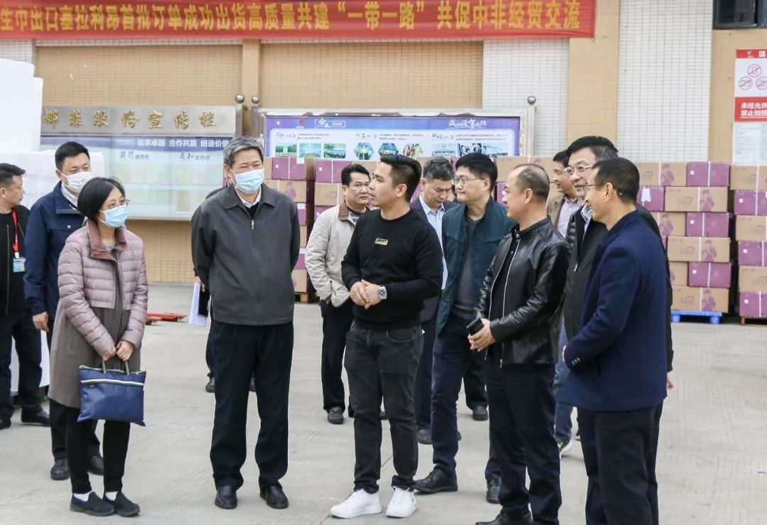 Automated sanitary products production line at the Nafei facility