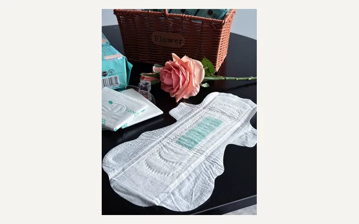 Sanitary pad shape and surface detail.